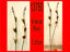 Imagen de VARA DE FLORES 1.20  COLOR 5.23